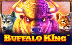 Buffalo King